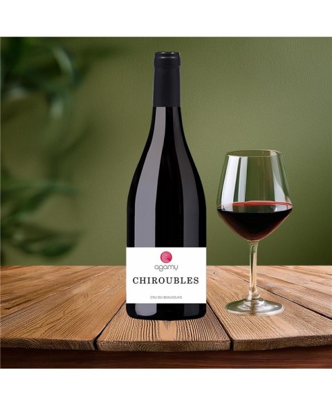 CHIROUBLES_RGE_AGAMY_2