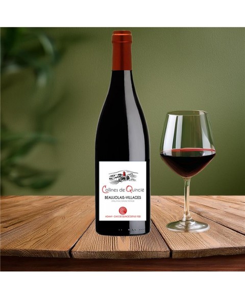 BEAUJOLAIS_VIL_RGE_COLLINES_QUINCIE_AGAMY_2