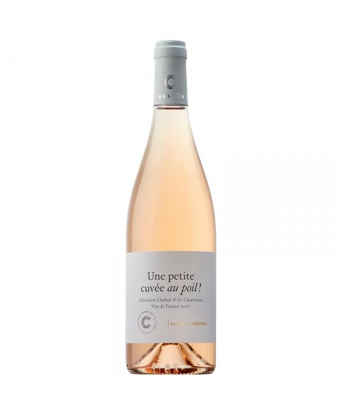 VDF_ROSE_AU_POIL_CHABAL_1