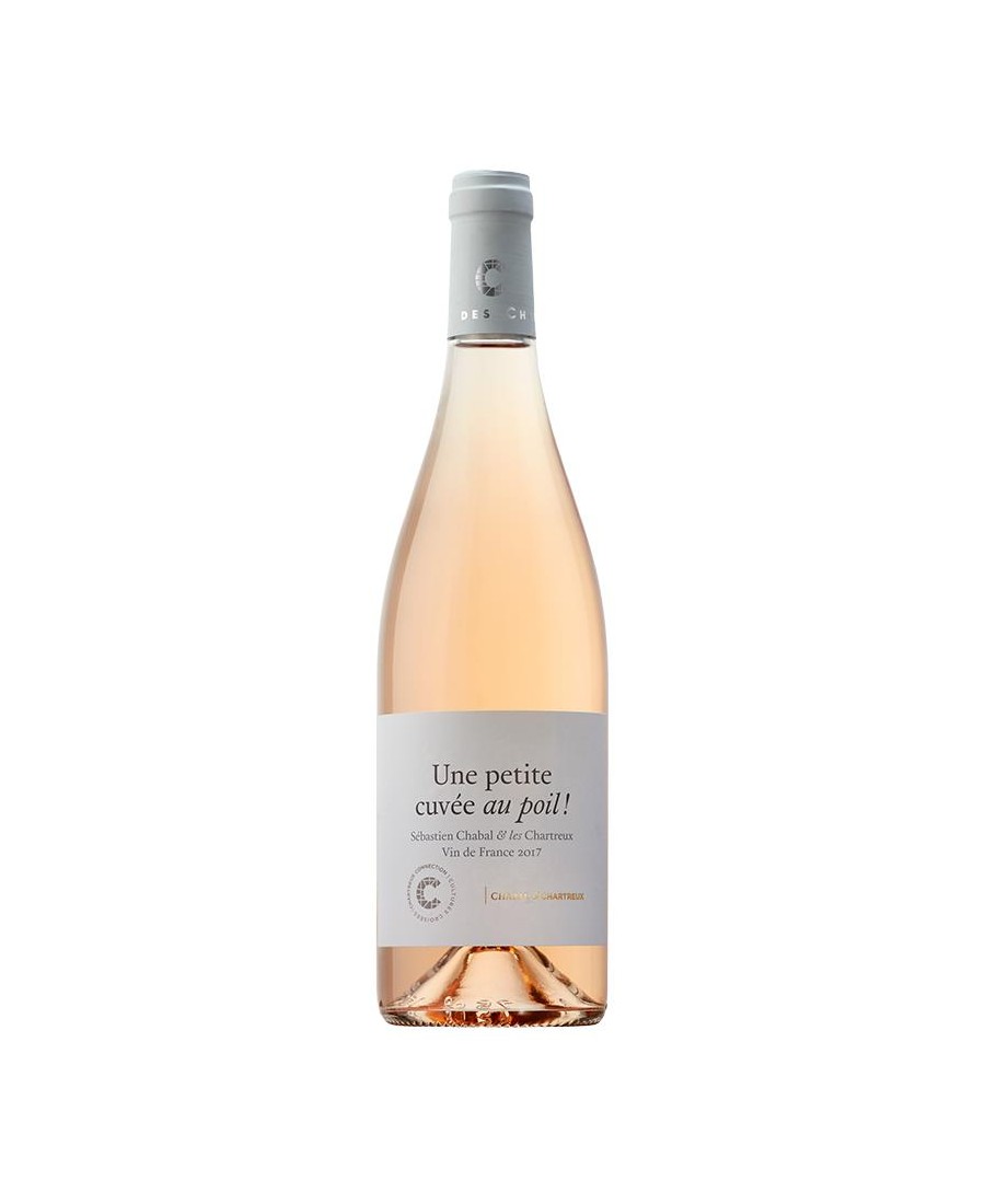 VDF_ROSE_AU_POIL_CHABAL_1