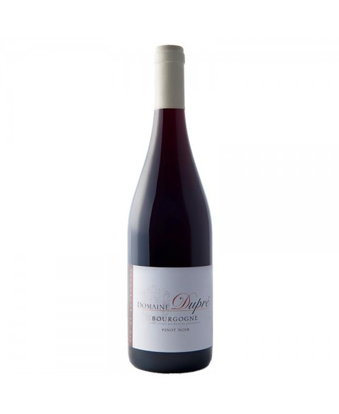 BOURGOGNE_PINOT_NOIR_DUPRE_1