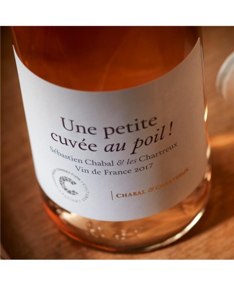 VDF_ROSE_AU_POIL_CHABAL_2