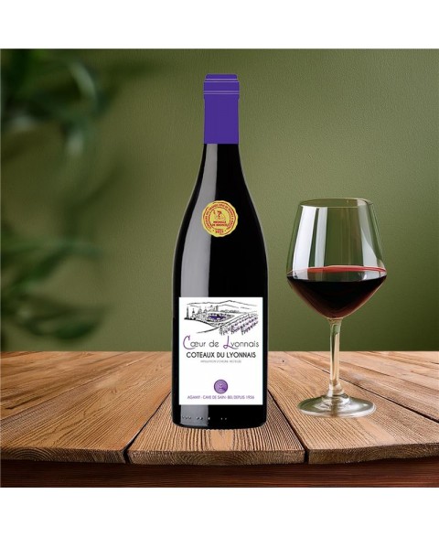 COT_LYONNAIS_RGE_Coeur__Lyonnais_2