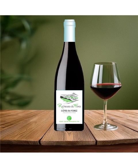 COTES_FOREZ_RGE_RICHESSES_FOREZ_2