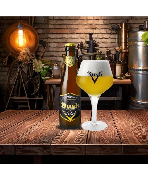BIERE_BUSH_BLONDE_TRIPLE_33_CL_2