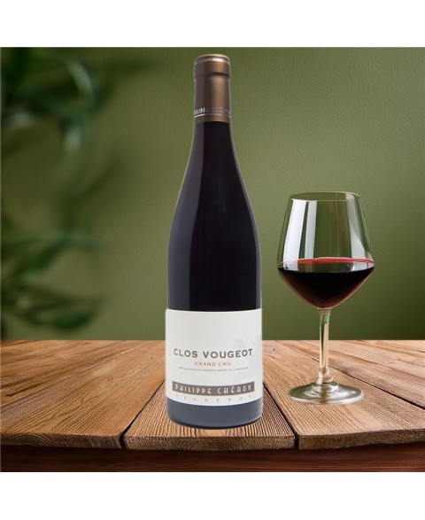 CLOS_VOUGEOT_GD_CRU_2021_2