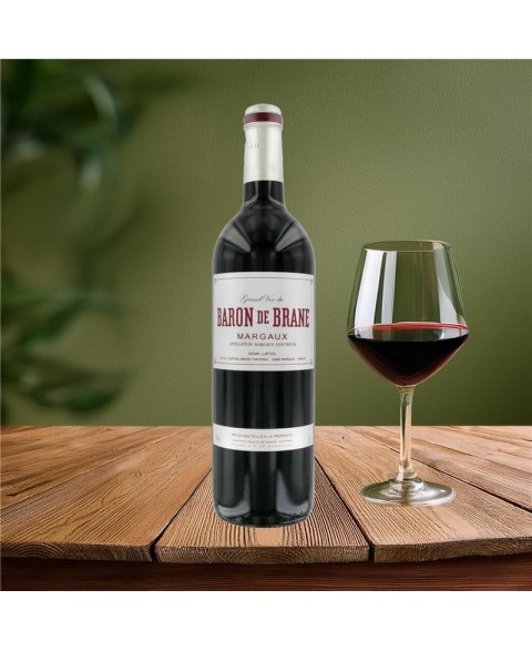 BARON_DE_BRANE_RGE_2018_ou_2020_2