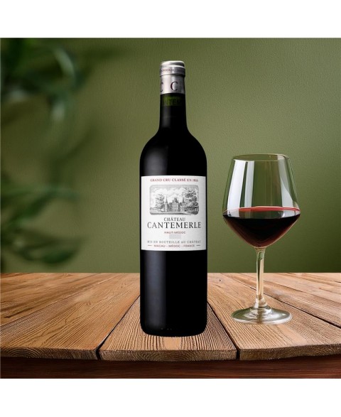 CHAT_CANTEMERLE_RGE_HT_MEDOC_2020_2