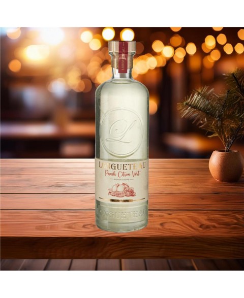 PUNCH_LONGUETEAU_CITRON_VERT_100_CL_2