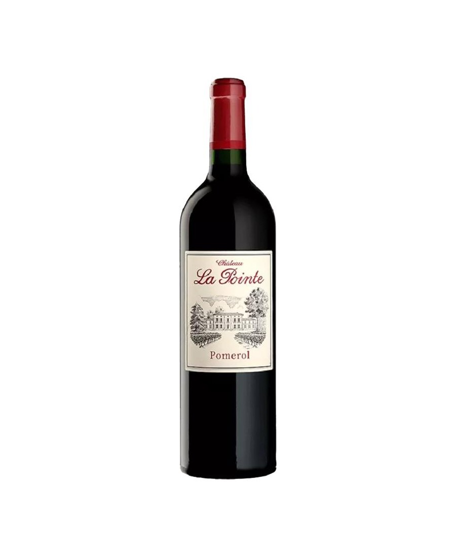 CHAT_LA_POINTE_RGE_2020_POMEROL_1