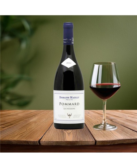POMMARD_RGE_NOIZONS_2