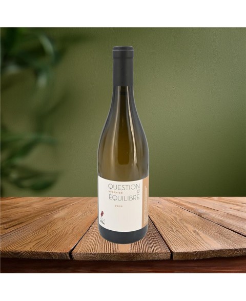 VDF_BLANC_QUESTION_D_EQUILIBRE_2