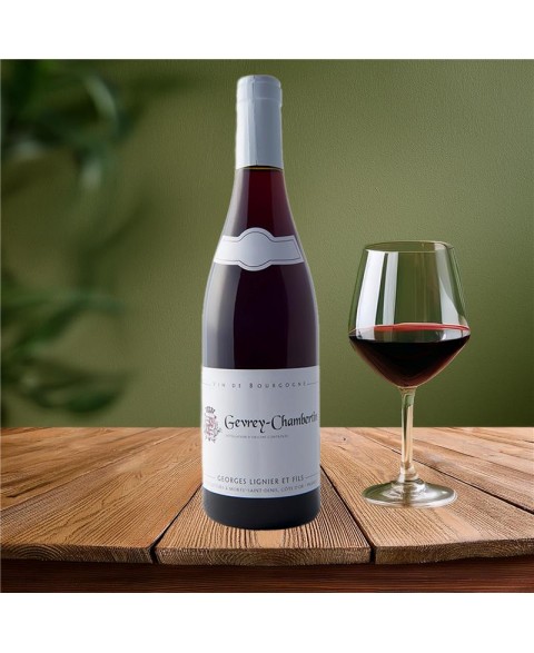 GEVREY_CHAMBERTIN_ROUGE_2