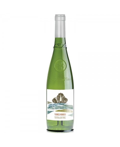 PICPOUL_DE_PINET_LES_TERRES_ROUGES_1