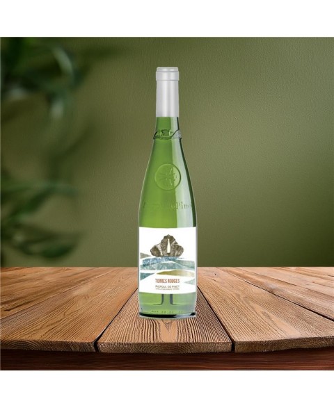 PICPOUL_DE_PINET_LES_TERRES_ROUGES_2