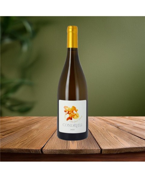 CONDRIEU_TRADITION_-_ST_DESIRAT_2