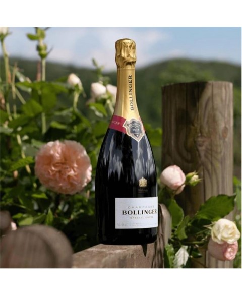 CHAMPAGNE_BOLLINGER_SPECIAL_CUVEE_3