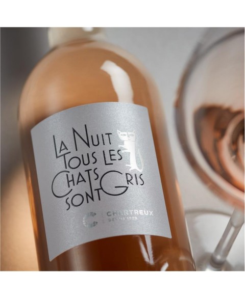 CHATS_SONT_GRIS_ROSE_CHARTREUX_2