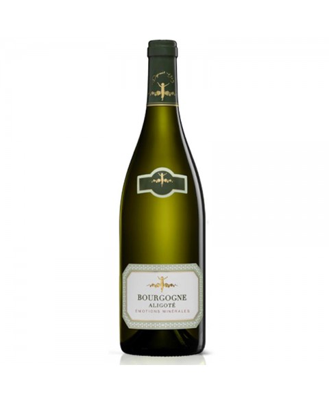 BOURG_ALIGOTE_BLC_CHABLISIENNE_1