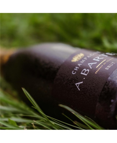 CHAMPAGNE_BARTEL_BRUT_2