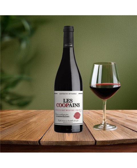 VDF_LES_COOPAINS_RGE_2