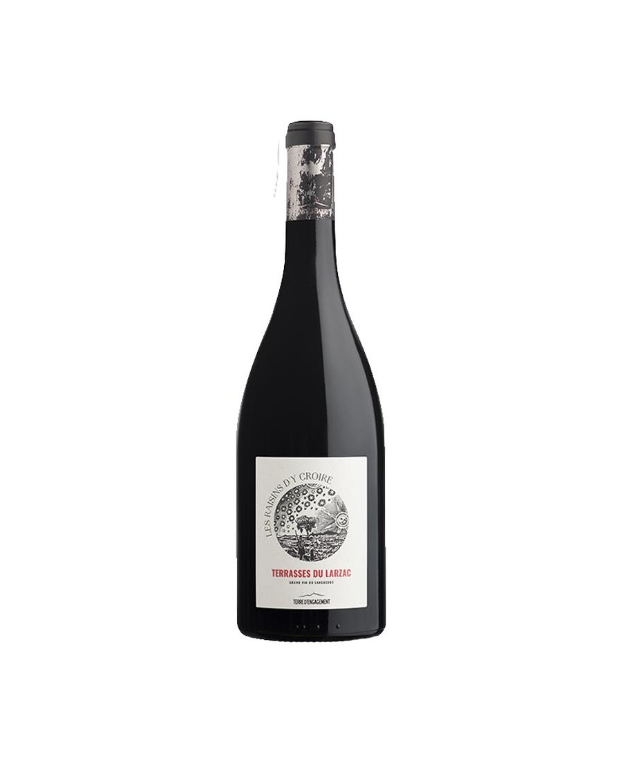 LARZAC_RGE_RAISINS_D_Y_CROIRE_1