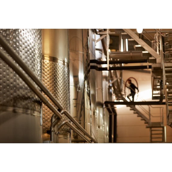 Qu’est-ce qu’une Cave Coopérative ?