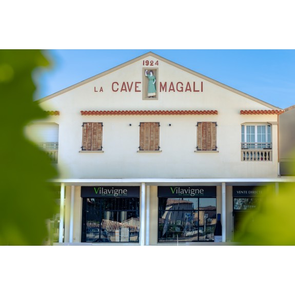 L'histoire de Vilavigne